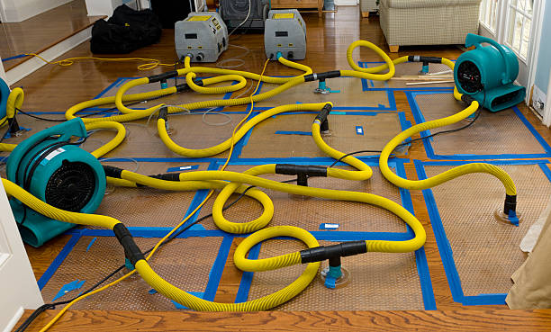 Professional Basement Flood Cleanup technician working in Ashland, CA